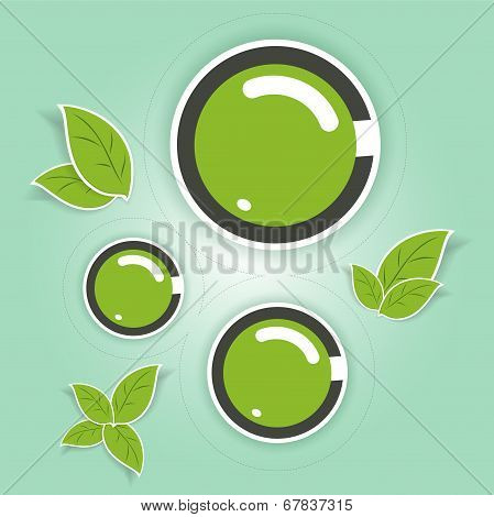 Eco-friendly Green Circles