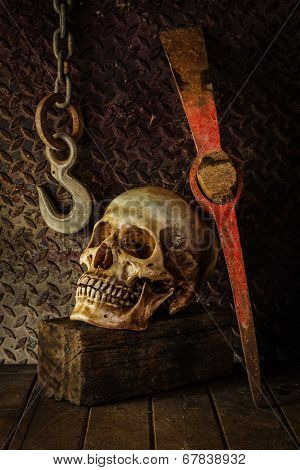 Still Life With A Skull.