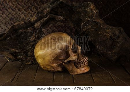 Still Life With A Skull.