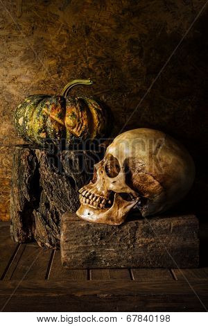 Still Life Skull And Pumpkin On The Timber.