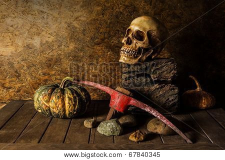 Still Life Skull And Pumpkin On The Timber.