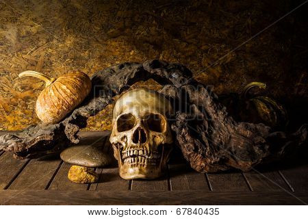 Still Life Skull And Pumpkin On The Timber.