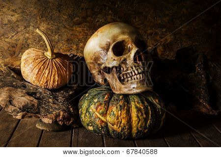 Still Life Skull And Pumpkin On The Timber.
