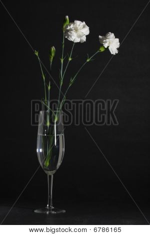 Flowerglass_vertical