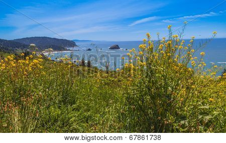 Del Norte Coast
