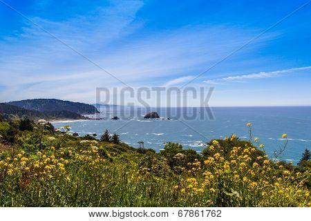 blue sky with white clouds over the pacific ocean in California