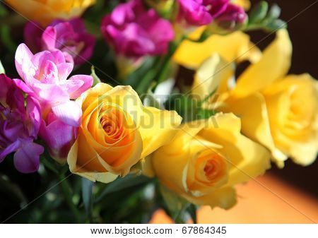 rose and fressia