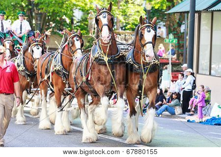 Portland Grand Floral Parade 2014