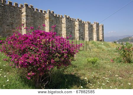 Kervansaray Sarapsa Han, Turkey