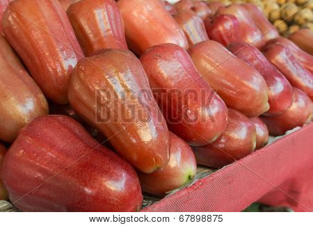 Asian Rose Apple