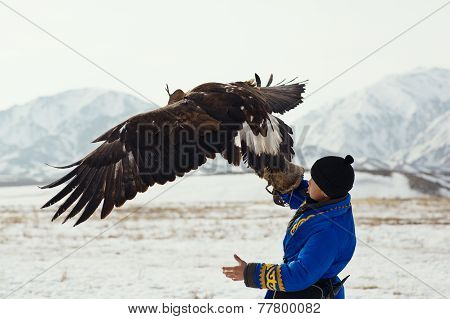 Nura, Kazakhstan - February 23: Eagle On Kid's Hand In Nura Near Almaty On February 23, 2013 In Nura