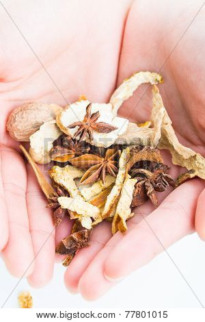 Holding Chinese Traditional Herbs.