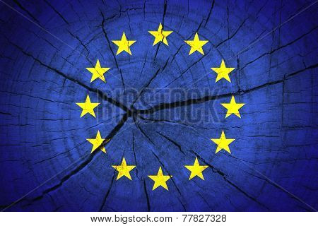 Euro flag