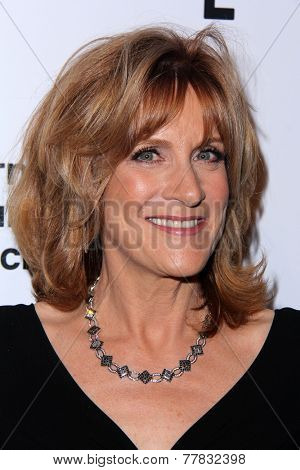 LOS ANGELES - DEC 5:  Carole Leifer at the 2014 IDA Documentary Awards at the Paramount Studios on December 5, 2014 in Los Angeles, CA