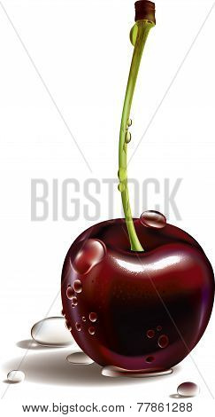 Wet cherry