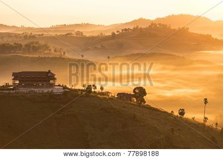 Country House