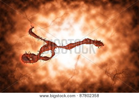Medical illustration of the Ebola virus