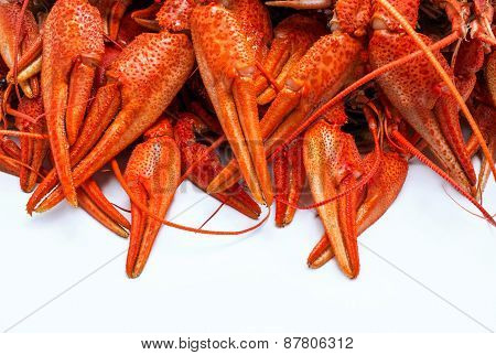 Appetizing Red Crawfish