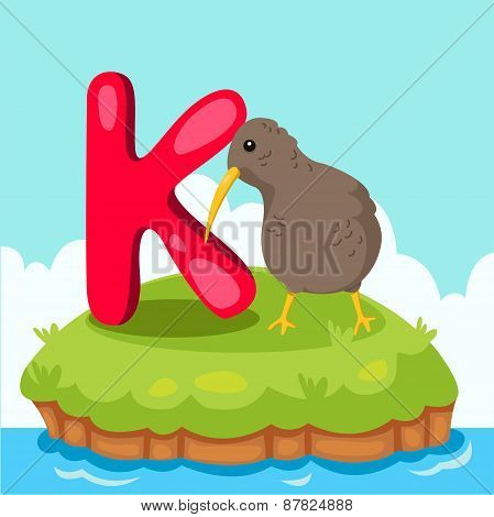 Illustrator of Letter 'K is for Kiwi bird'