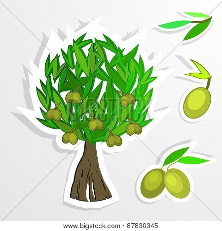 tree  on paper. Olive oil. Vector  olive tree.