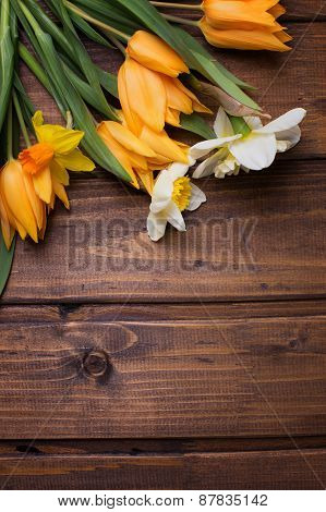 Background With Fresh Daffodils And Tulips