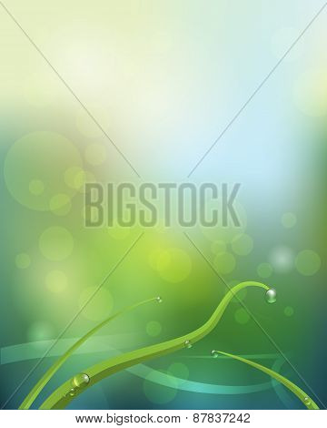 Abstract Green Leaves-water Drops On Green  Leaf
