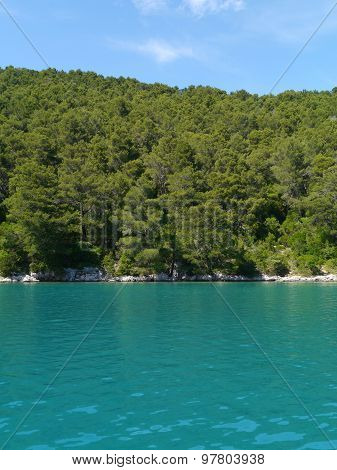 The green blue of the Croatian Polace bay