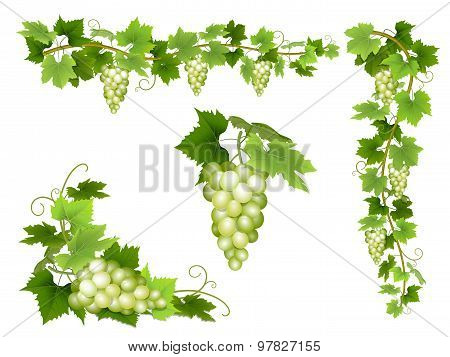 A Set Of Bunches Of White Grapes.