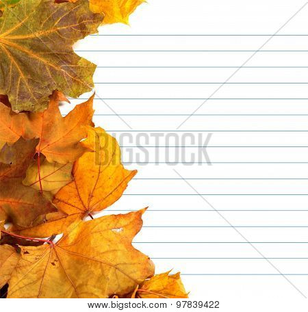 Autumn Maple-leafs And Notebook Paper