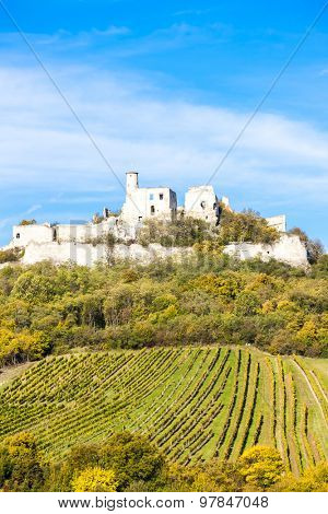 ruins of Falkenstein Castle with vineyard in autumn, Lower Austria, Austria