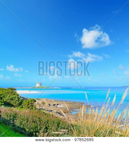 Aragonese Tower In La Pelosa Beach