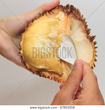 Spoon In Hands Scooping Durian
