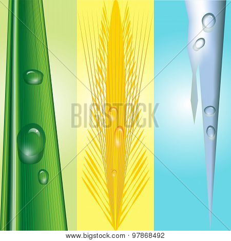 Seasonal Background With Water Drops