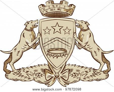Pitbull Dog Coat Of Arms Etching