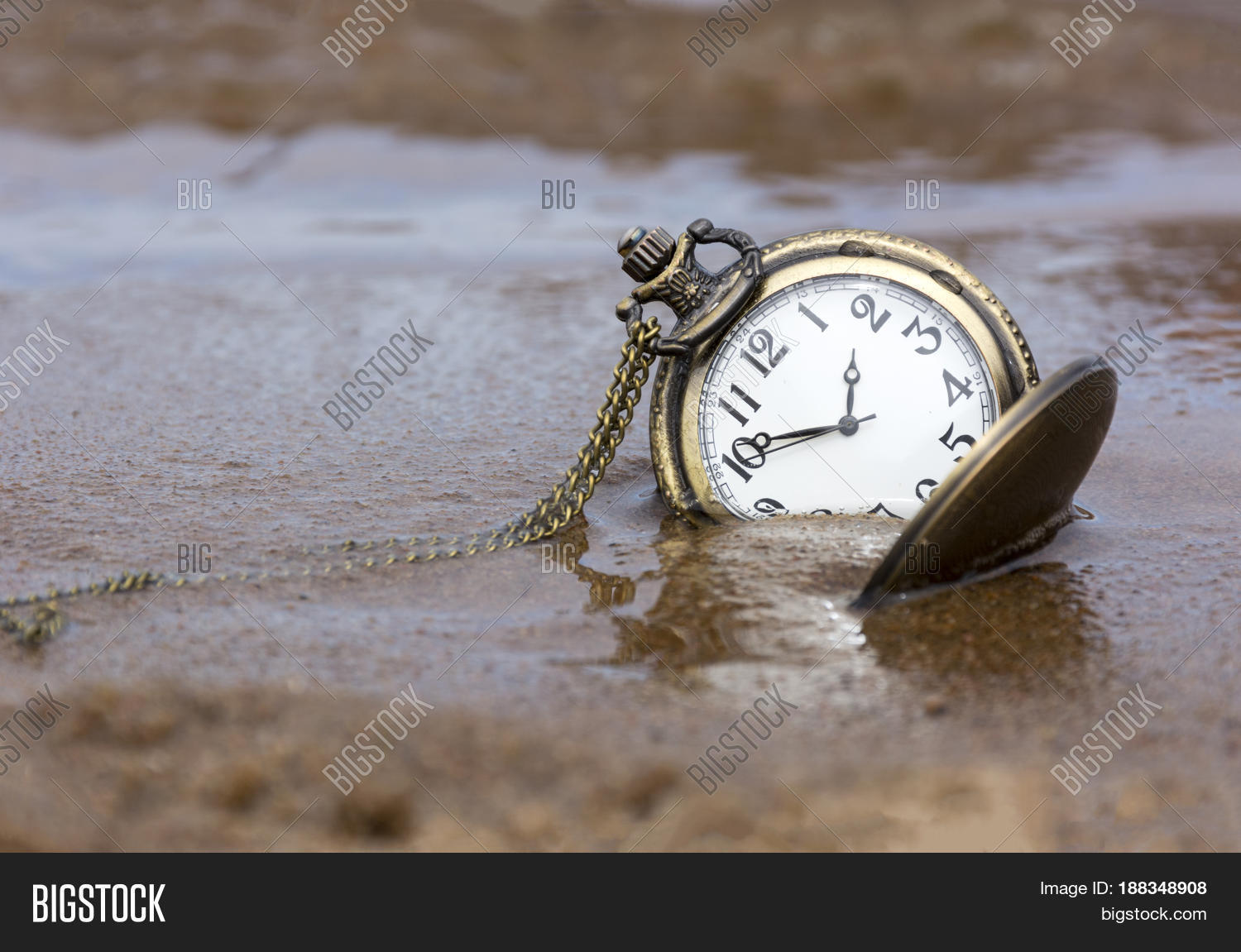 Image Preview