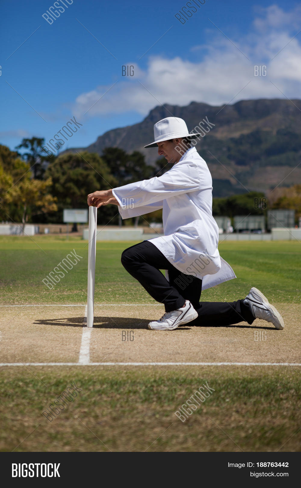 Side View Cricket Image & Photo (Free Trial) Bigstock