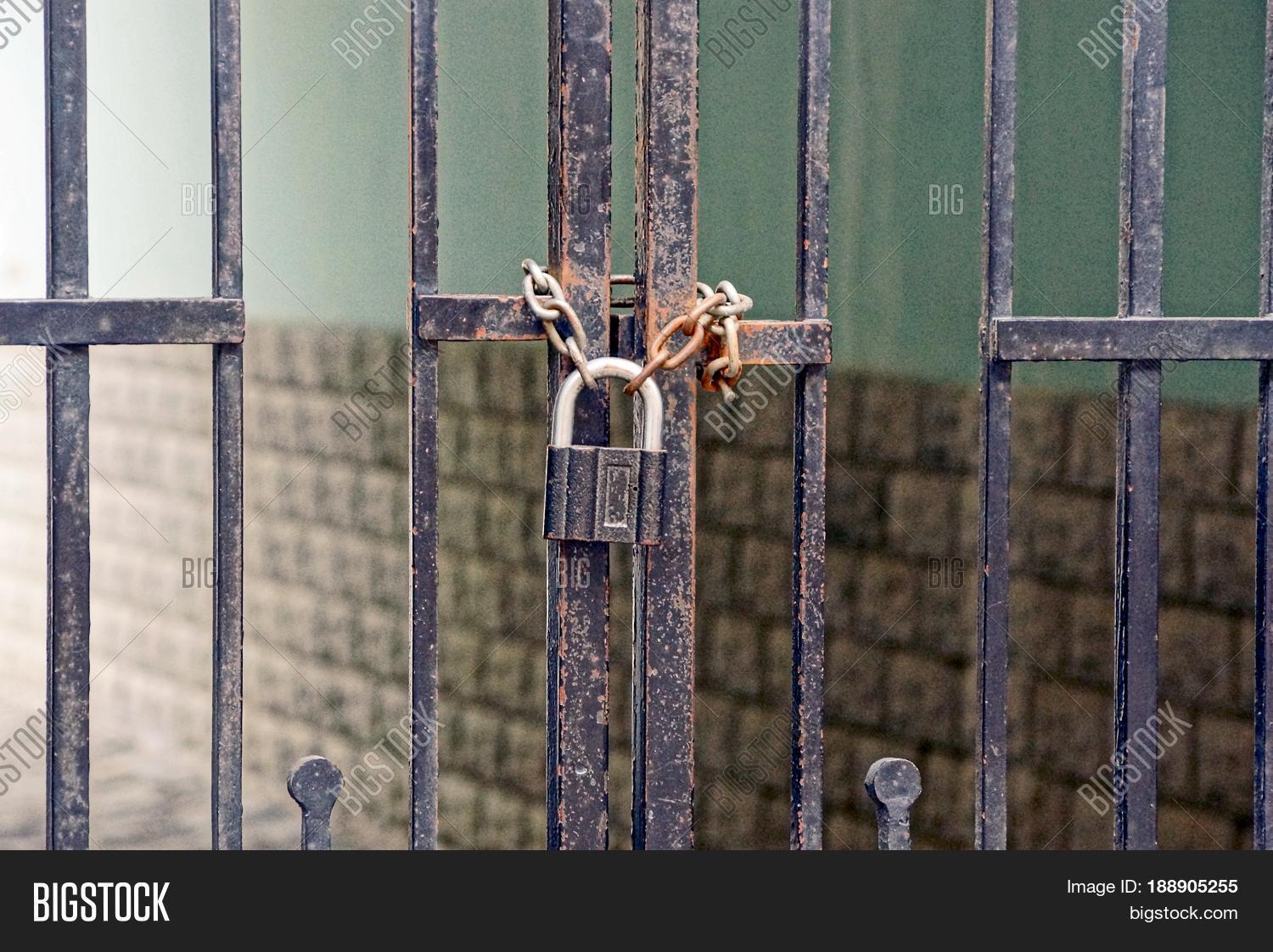 Image Preview