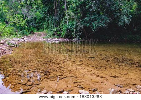 Thai dark tropical forest and small mountain river in Mu Koh Chang National Park, Chang island, Thailand. Path to the Khlong Phlu waterfall. Natural background. Soft Focus.