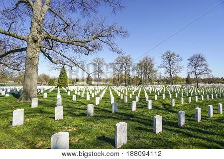 Visiting the Arlington Cemetery in Washington - WASHINGTON - DISTRICT OF COLUMBIA