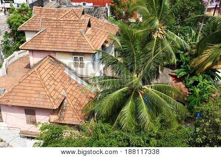 Typical tiled house in kerala india amidst coconut trees