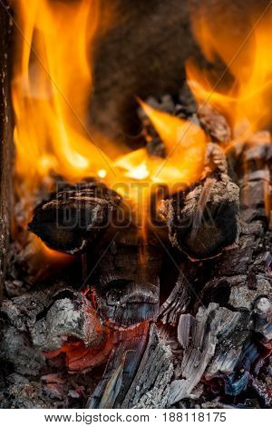 Fire flames background. Firewood is burning in the grill in the open air.