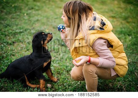 Cheerful Pretty Young Woman Sitting And Playing Fetch With Her Dog On Grass.