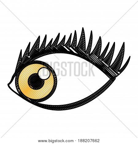 cartoon eye human look watch icon vector illustration