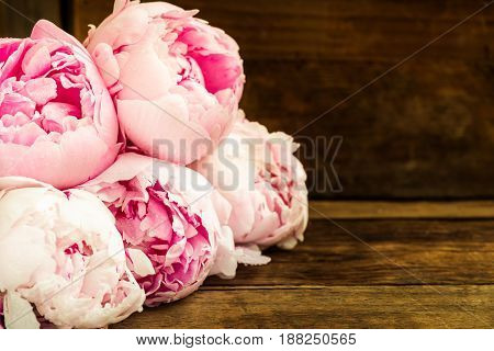 Fresh Bunch Of Pink Peonies