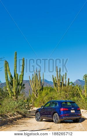 Audi Q5 2017 Test Drive Day