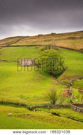 Field Barn in Upper Swaledale at Keld - Swaledale in Yorkshire Dales National Park winds into the northern Pennines. It is famous for its meadows field barns and drystone walls.