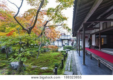 Kyoto, Japan - November 2016: Japanese Red Maple Tree During Autumn In Garden At Enkoji Temple In Ky