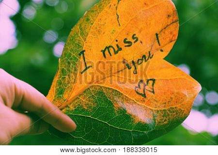 I Miss You On Old Leaf