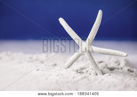 Summer sale discount and promotion concept decoration