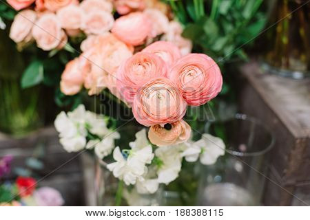 Magnificent tenderless bouquet of fresh, bright pink ranunculus
